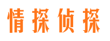 台江市私家侦探